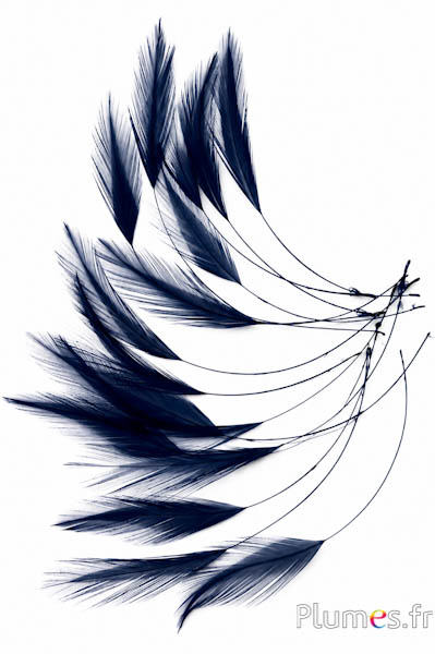 Haan - 10-15 cm - donkerblauw
